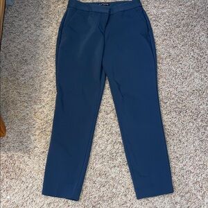 Express Men's Deep Blue Chinos
